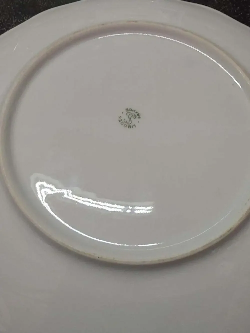 Limoges France Terra Vecchia La Repasseuse Porcelain Collector Plate
